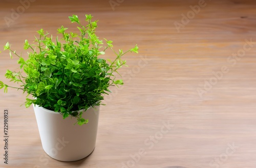 herbs in a pot on wooden floor