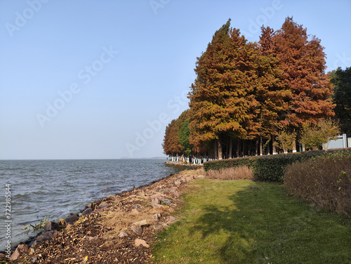 Beautiful view of Bacheng Ecological Wetland Park during autumn session photo