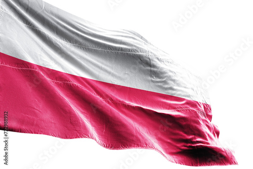 Polish flag on transparent background.