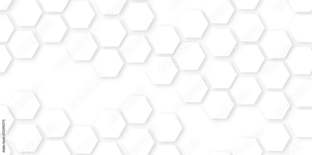 Realistic geometric mesh cells texture.Background with hexagons Abstract background with hexagons.honeycomb white Background,geometric mesh cell texture. Realistic geometric mesh cells texture.Background with hexagons Abstract background with hexagons.honeycomb white Background,geometric mesh cell texture.
