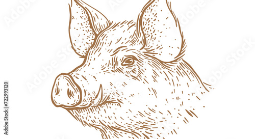 Pork, hog head. Vintage retro print, black white pig sketch ink pencil style drawing, engrave old school. Sketch artwork silhouette head pig, white background. Side view profile. Vector Illustration