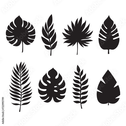 Collection of exotic palm leaves. Leaf icon set. Vector illustration photo