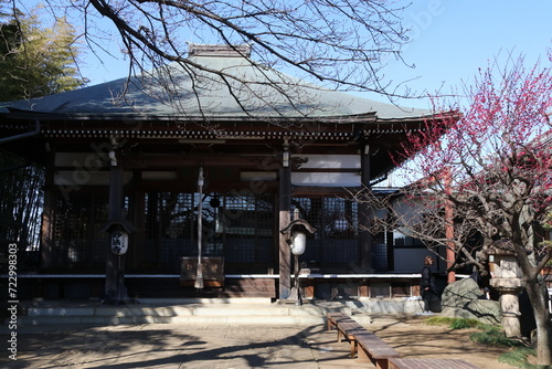 おおくら大佛で有名な世田谷区大蔵の妙法寺。本堂。 photo