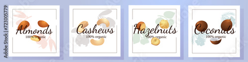 A set of flat illustrations of nuts: almonds, walnuts,cashews,pistachios,pecans,hazelnuts, brazil nuts, macadamia nuts,pine nuts, chestnuts peanuts and coconuts.