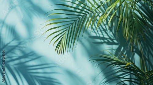 Palm tree leaves and green foliage create a lush canopy.