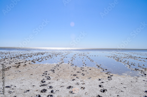 footprints in lake Eyre in flood photo