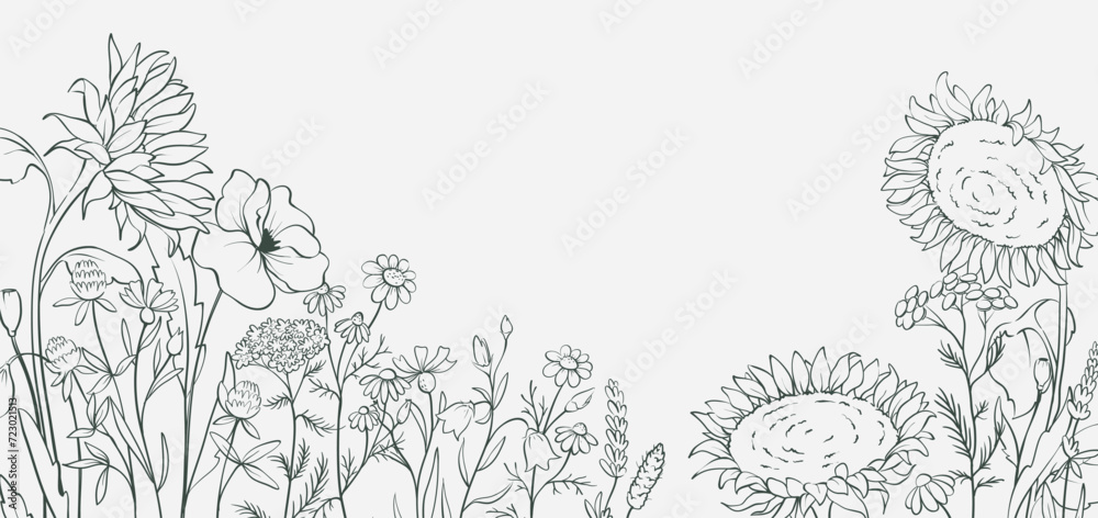 Sunflowers and wild flowers. Sketch in lines, freehand drawing. Vector illustration, summer background, flower meadow.