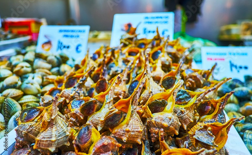 The fresh murex in seafood srall, Atarazanas Market, Malaga, Spain