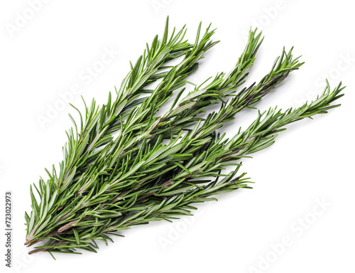 Fresh rosemary close-up on a white background. Top view