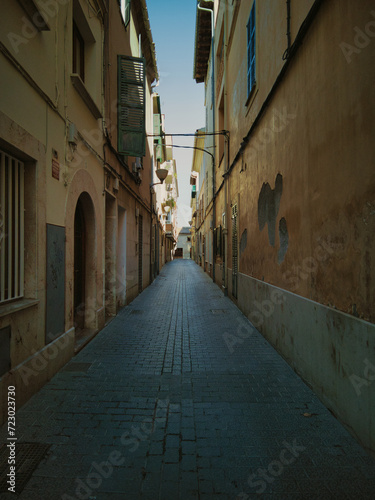 deserted street of the town of sa pobla photo