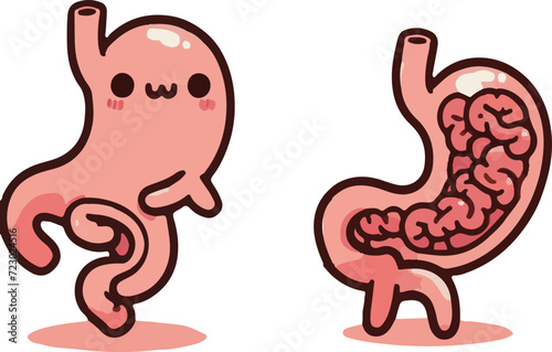 胃と腸