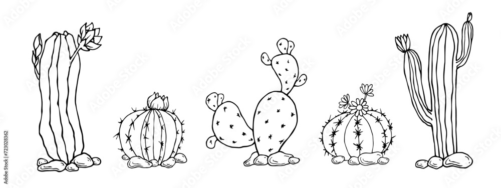 A set of sketches and doodles of blooming cacti. Vector graphics. A set of sketches and doodles of blooming cacti. Vector graphics.