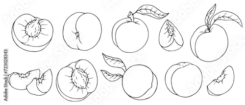 Set of linear sketches of peach and pieces of summer fruit.Vector graphics.