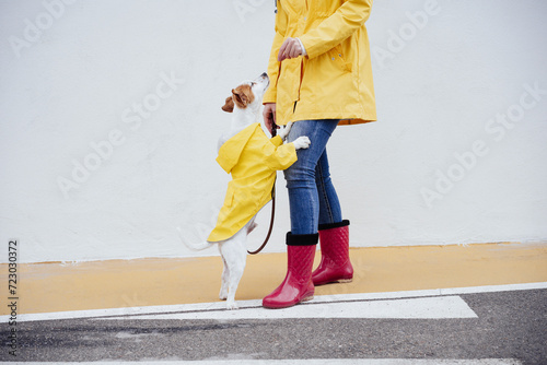 Dog leaning on woman's lap at footpath photo