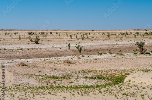 Landscape in Wadi Aydam, Oman