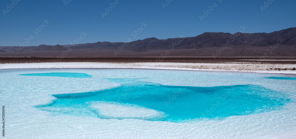 Fototapeta premium Hidden lagoon Baltinache , Lagunas escondidas Baltinache in Atacama Desert, Chile