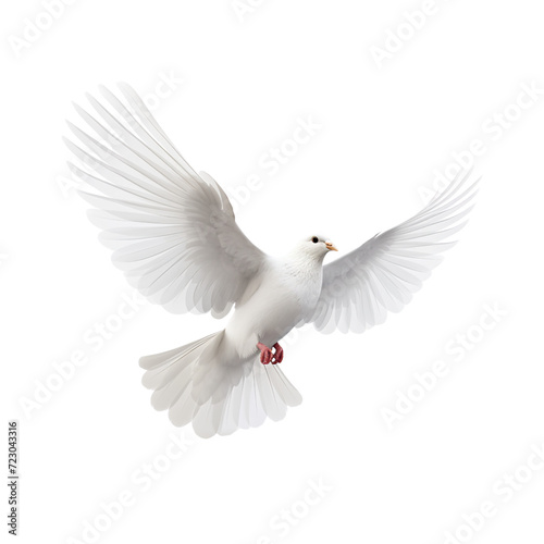 White dove flying isolated on transparent or white background