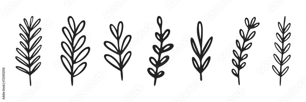 Set of hand drawn outlined plant branches vectors