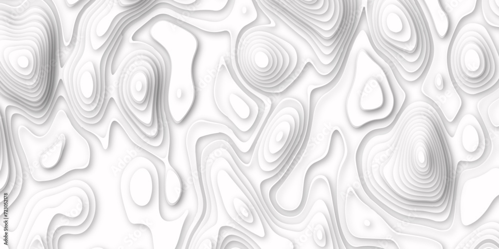  Abstract white pattern topography vector background. white topography contour lines map isolated on white background. The stylized height of the topographic map