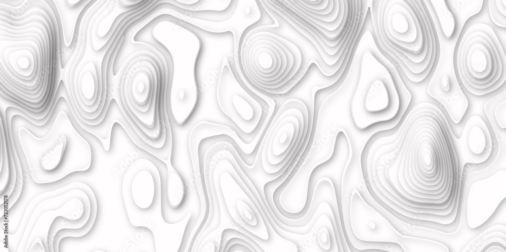 Abstract white pattern topography vector background. white topography contour lines map isolated on white background. The stylized height of the topographic map Abstract white pattern topography vector background. white topography contour lines map isolated on white background. The stylized height of the topographic map