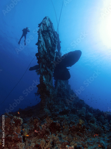 Part of the Levanzo shipwreck in the Red Sea