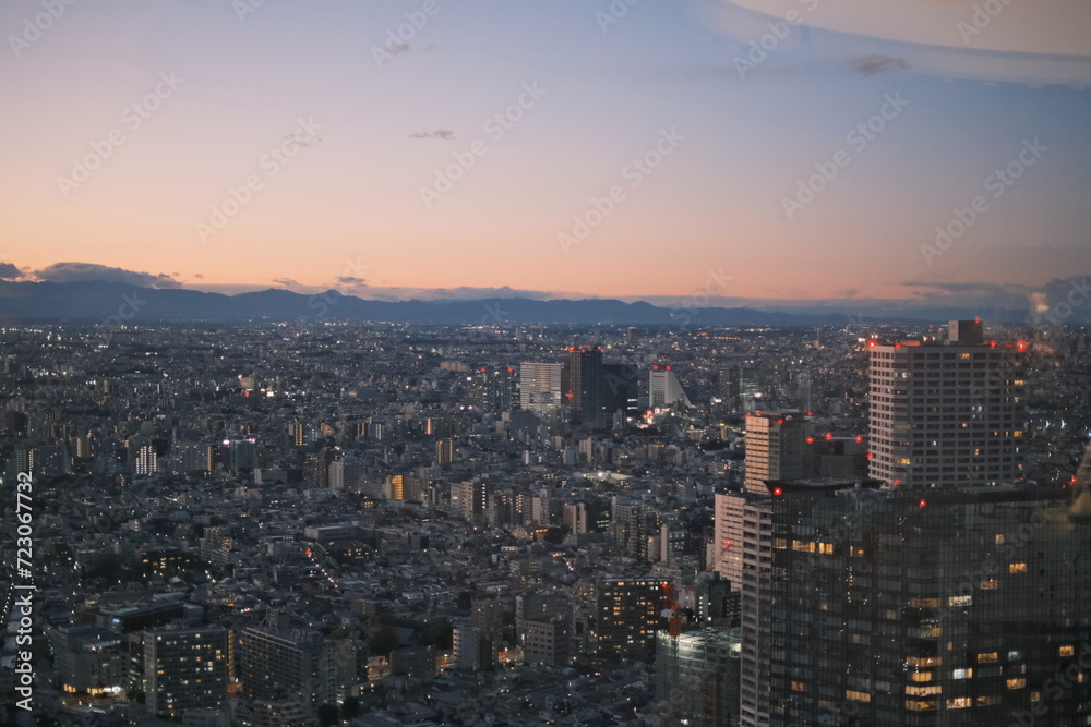 Fototapeta premium 新宿都庁展望台