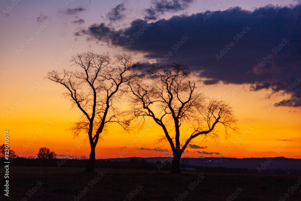 Two trees with cloudy sky on background. Sunset with dramatic black, grey, orange and red colors. Hillsborough Township, NJ