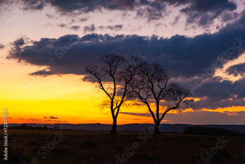 Two trees with cloudy sky on background. Sunset with dramatic black, grey, orange and red colors. Hillsborough Township, NJ © SVDPhoto