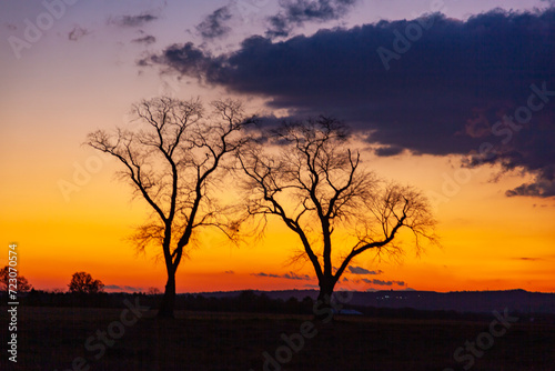 Two trees with cloudy sky on background. Sunset with dramatic black, grey, orange and red colors. Hillsborough Township, NJ