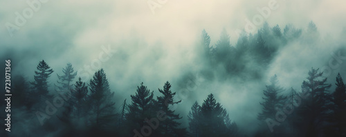 A misty mountain landscape with a forest of pine trees in a vintage retro style. The environment is portrayed with clouds and mist, creating a vintage and atmospheric imagery of a tree covered forest. photo