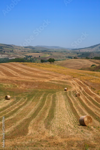 Country landscape near Tricarico and Grottole, Basilicata, Italy