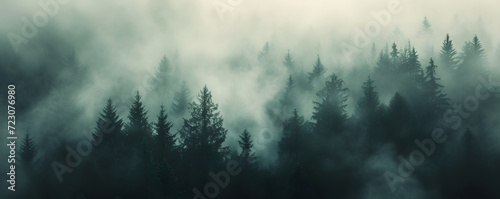 A misty mountain landscape with a forest of pine trees in a vintage retro style. The environment is portrayed with clouds and mist, creating a vintage and atmospheric imagery of a tree covered forest. photo