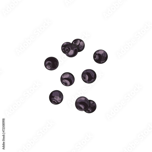 Scattered acai berries. Organic healthy berry superfood.