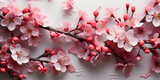 Decoration of cherry blossoms isolated on white background