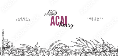 Seamless pattern border with Acai berries and leaves, fresh black berries with foliage, vector engraved hand drawn fruit