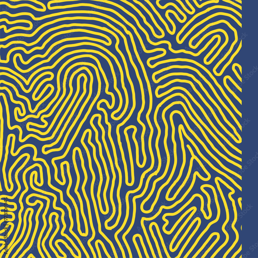 fingerprint pattern fingerprint pattern