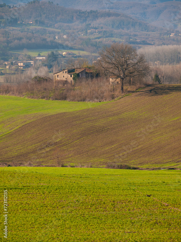 Italia, Toscana, zona del Mugello, Vicchio del Mugello. trekking nella campagna.