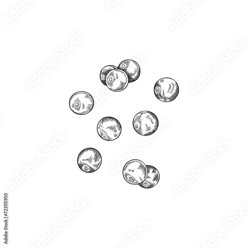 Pile of hand drawn monochrome acai berries sketch style