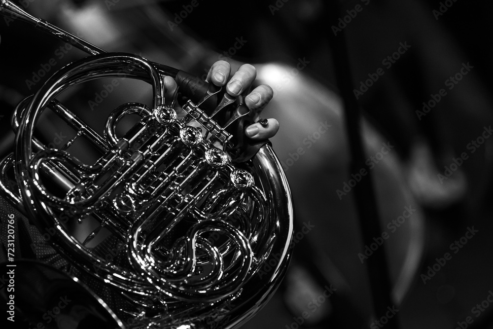 Φωτογραφία Fragment of a french horn in the hands of a musician in black and white