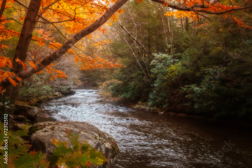 Fall scenes along Bear Creek