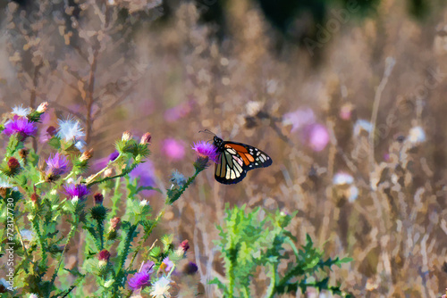 monarchs butterfly on flower
