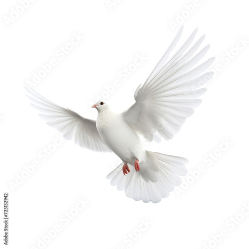 Flying white dove clip art