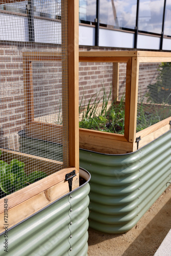 modern raised garden beds with homegrown vegetables