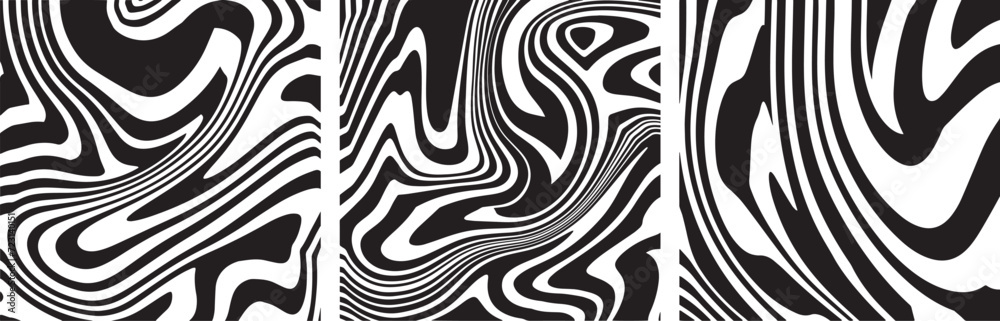 Obraz premium Abstract black and white zebra texture. Texture for printing on fabric, flyer, banner, poster. Black and white pattern. A set of textures for paintings. Vector drawing design elements.