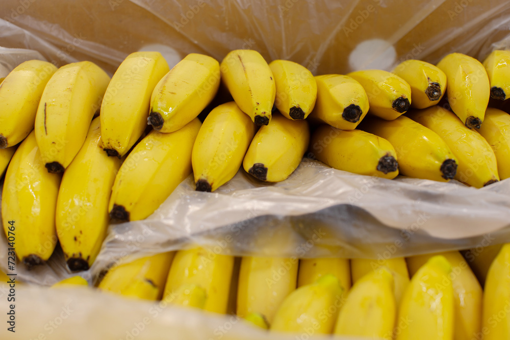 Lots of banana branches in a cardboard box for sale.