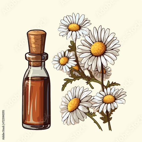 Hand drawn set of essential oils. Vector colored