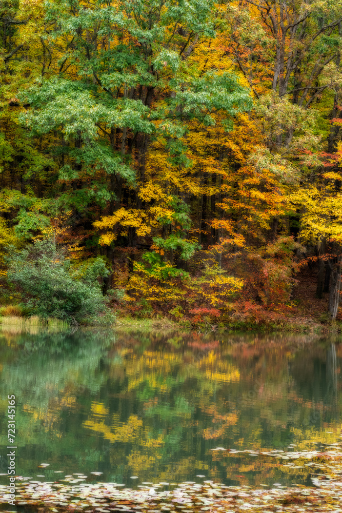 Fall reflections in the water