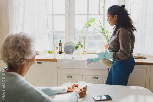 Rare view of elderly lady with gray hair looking at african american housekeeping volunteer helping to clean house, washing kitchen sink with detergent, wearing raisin gloves, talking to each other