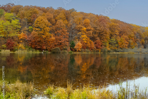 Fototapeta Naklejka Na Ścianę i Meble -  Fall color in pond at Coopers Rock