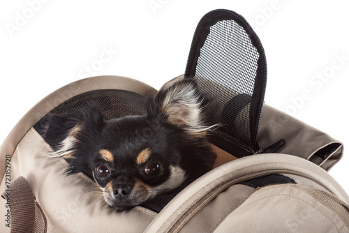  Pet carrier bag or transport cage isolated on white background.
